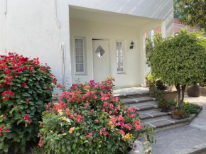 Urban Oasis with an office en las Lomas de Chapultepec